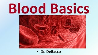 Blood Basics