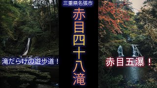 赤目四十八滝！渓谷を歩いて赤目五瀑！