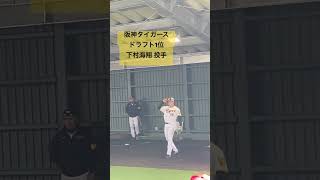 阪神タイガースドラフト1位　下村海翔投手　初ブルペンの様子　#下村海翔 #野球 #阪神タイガース #投球フォーム