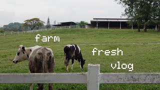 vlog: visiting farm fresh ⋆˚✿˖°