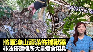 東張西望｜將軍澳山頭滿佈動物陷阱｜直擊非法搭建棲所大量煮食用具｜方媛因蔡天鳳案深受打擊｜朱凱婷 區永權