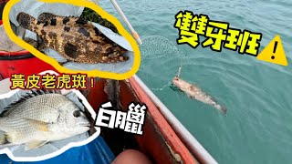 維港基哥艇之打風後特輯⚠️維港竟然有白臘魚？黃皮老虎斑？雙牙斑？石崇魚…￼ #香港釣魚 #香港艇釣 #香港船釣