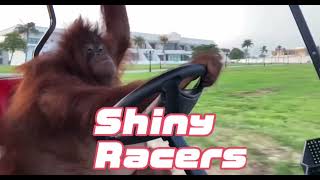 Shiny Racers