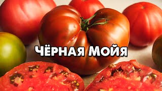 ЛУЧШИЙ ТОМАТ ДЛЯ ТЕХ, КТО ЛЮБИТ ТЁМНЫЕ ПОМИДОРЫ!!! ЧЁРНАЯ МОЙЯ!