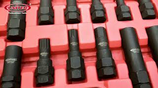 UNT-1038   16 Pcs Wheel Master Key Set