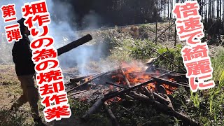 Part 2 of the burning field work! Double-speed video shows the joy of disappearing dead bamboo