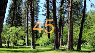 45 Second Timer – Kitchen Timer and Cooking 45 Secondi Countdown Timer
