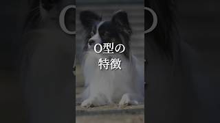 O型の特徴 #恋愛占い #恋愛診断 #相性診断 #shorts #血液型占い