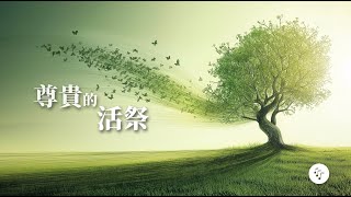 🌱 尊貴的活祭 🌳 ｜香港聖公會 聖士提反堂 青年部部歌｜ 《承傳》專輯 ｜敬拜隊｜基督教詩歌 ｜#aigenerated #aigeneratedvideo