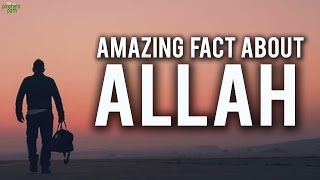 Amazing Fact About Allah