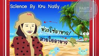 วิทยาศาสตร์ ป.5 เรื่อง ระบบนิเวศ (ห่วงโซ่อาหาร และ สายใยอาหาร) part 2