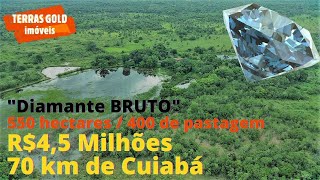 Fazenda c/ 550 hectares por R$4,5 Milhões [PECUÁRIA]