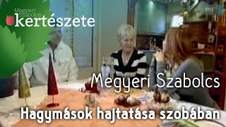 Tavaszváró kerttervezés - Hagymások hajtatása szobában