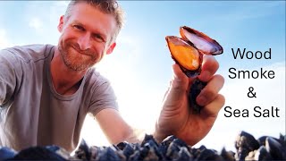 Coastal Foraging for Mussels: Catch & Cook with our DOG