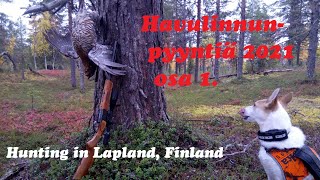 Havulinnunpyyntiä 2021, 0sa1. / Hunting In Lapland, Finland.