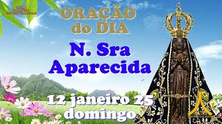 Oração do dia 12 de janeiro de 2025, Domingo, Nossa Senhora Aparecida, Salmo 104, Proteção e Graças