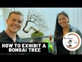 Cara memamerkan pohon dalam pertunjukan bonsai | Pasokan Bonsai