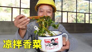 买一斤香菜，加上秘制酱料，味道好极了！你喜欢吃香菜吗？【农民工川哥】