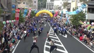 2015 8 9　瑞浪美濃源氏七夕祭り 公園会場　名古屋学生チーム『鯱』