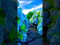 Aesthetic nature status|Flowers status#shorts #nature #4kstatus #aesthetic #trending #ytshorts