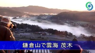 鎌倉山で雲海 茂木