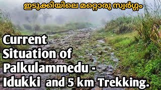 5 Kilometer Trekking And Current Conditon Of PALKULAMEDU IDUKKI