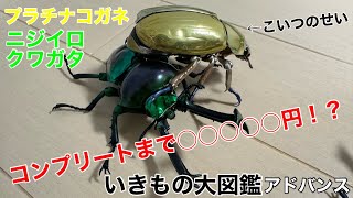 いきもの大図鑑アドバンス プラチナコガネとニジイロクワガタ 全5種コンプリートしてみた的なStop motionしてみた的な