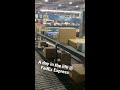 fedex express sorting