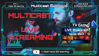 Multicast සමඟ Live Video Streaming එකක් කරමුද?