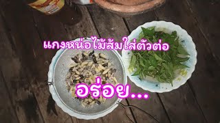 #แกงหน่อไม้ส้มใส่ตัวต่อ...อร่อยนะครัช.    (ไม่มีตอนกินนะครัช)