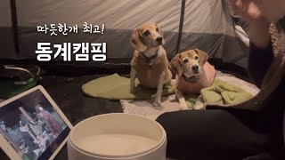 camping with two beagles/ winter camp/ camping with dog/ hot tent with fan heater