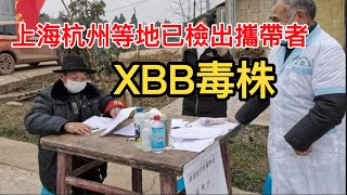 九歌：新冠毒王XBB毒株上海杭州等地已檢出攜帶者，市民疯狂抢购药物，XBB毒株會引發新一輪感染潮嗎？西安疫情已進入高峰平臺期，防控工作到了關鍵時刻！#新冠#上海#病毒