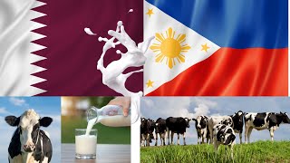 QATAR : BALADNA partnered with PHILIPPINES #shorts #shortvideo #philippines #baladna