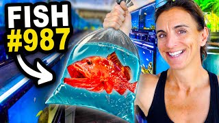 Unboxing Thousands Of Rare Fish!