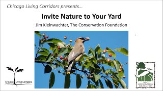 Invite Nature to Your Yard - June 17, 2020