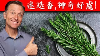 迷迭香的健康好處,自然療法,柏格醫生 Dr Berg