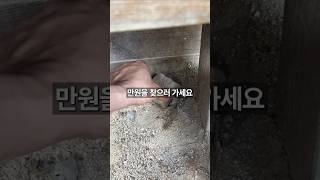 천호공원 보물