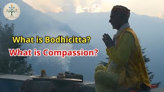 What is compassion? What is bodhicitta? | Buddhism