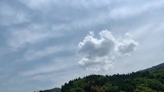 ウェザーリポート動画0513@四国中央市11:50頃