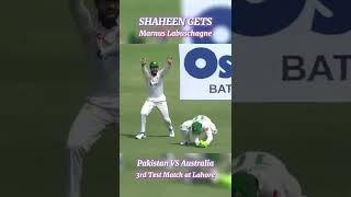 Marnus Labuschagne - M Rizwan - b Shaheen Shah Afridi | #BoysReadyHain l #PAKvAUS #shorts  #cricket