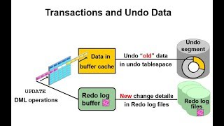 Undo-Redo Theory