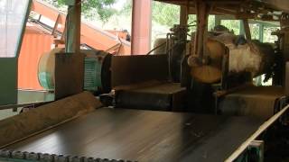 Helle Scragg Mill Cutting White Oak