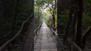 Karamjal Point, sundarban