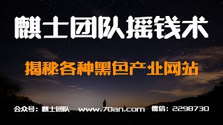 麒士团队摇钱术16：揭秘各种黑色产业暴利网站