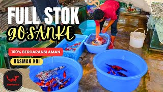 ‼️100% GARANSI‼️Review Stock Dan Harga Gosanke Basman Koi Kediri