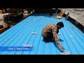 बिना पक्की छाड़पे 1kw solar कैसे लागय 1 kilowat solar panel install on cement sheet roof