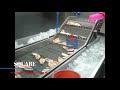 Spiral Freezer Freezes Tilapia Fillet On Aluminum Trays