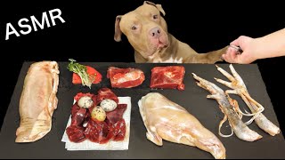 Satisfying And Relaxation with Chewing Sounds | ASMR MUKBANG Pitbull Eating Raw Foods