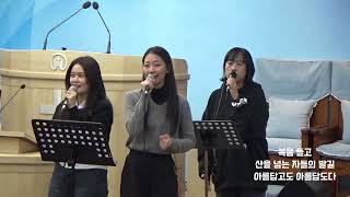 영문교회 Young mun Church 디모데 프레이즈 250112 #주님 다시 오실 때까지 #빛의 사자들이여 #복음들고 산을 #내가 주를 경외함으로 #주의 아름다움은