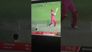 Alex Hales batting in PSL 7 | Islamabad United vs Peshawar Zalmi 2022